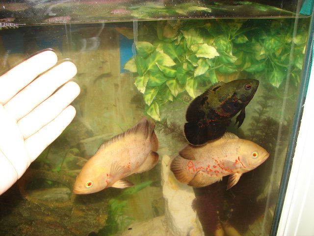 DSC07627.JPG