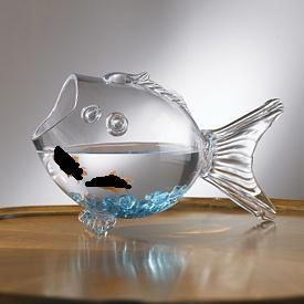 gfishbowl.jpg