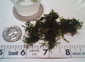03-04-09_1819.jpg