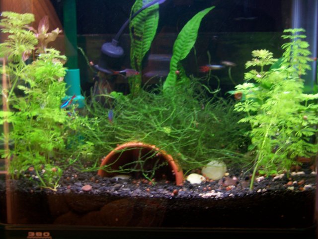 100_0150.jpg