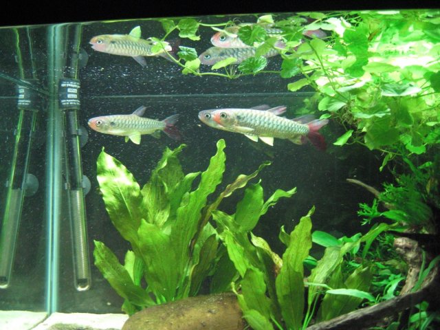 Copy of IMG_5505.JPG