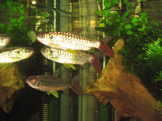 Copy of IMG_5762.JPG