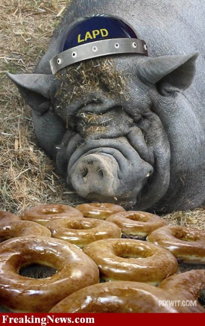 Donut-Patrol--16165.jpg