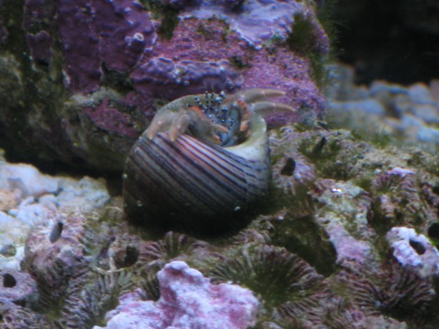 fish 023.jpg