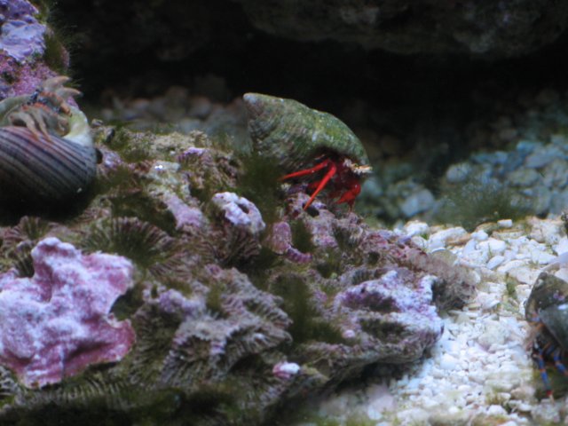 fish 027.jpg