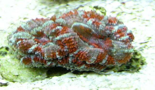 005-sm.jpg