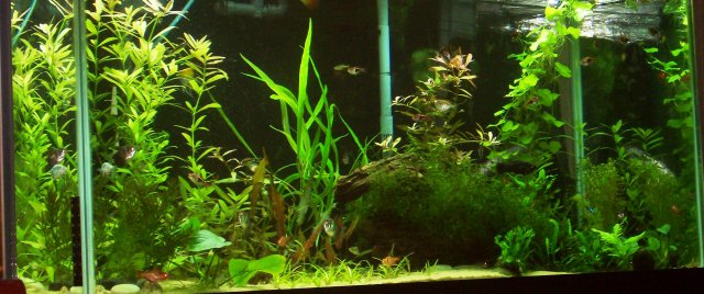 102_0022.jpg
