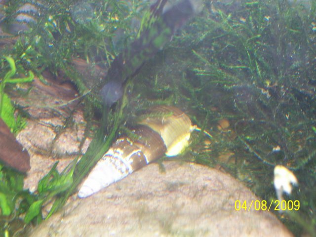 000_2552.jpg
