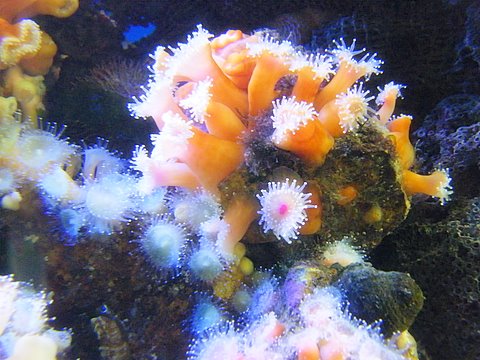 2009_040608729timelapse0004.JPG