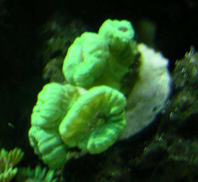 008-c-sm.jpg