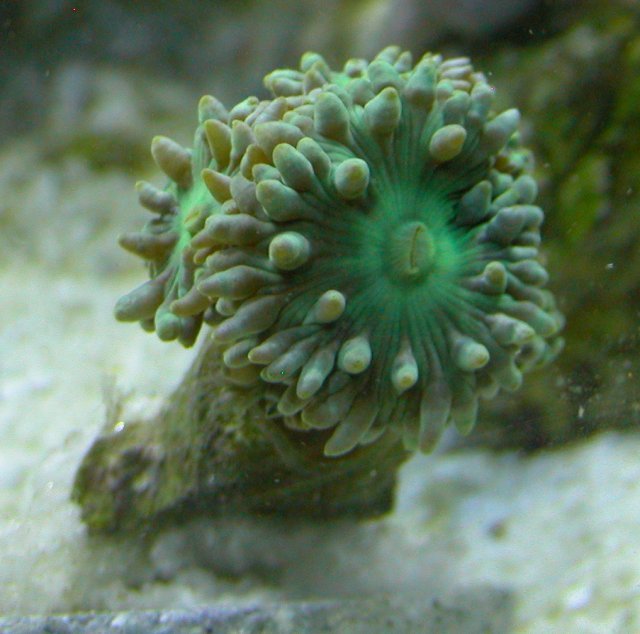 010-c-sm.jpg