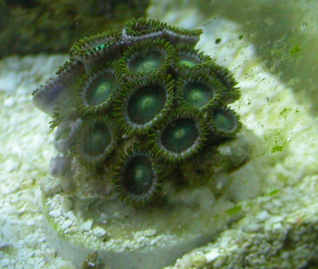 011-c-sm.jpg