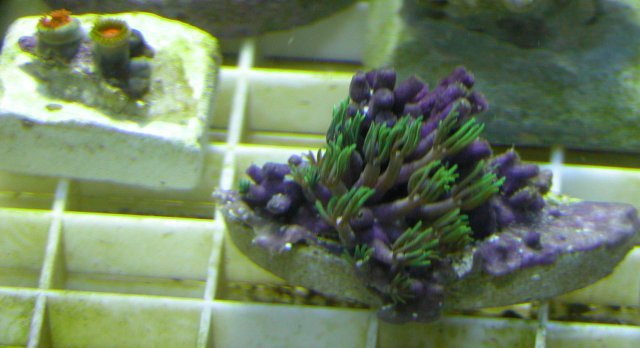 013-c-sm.jpg
