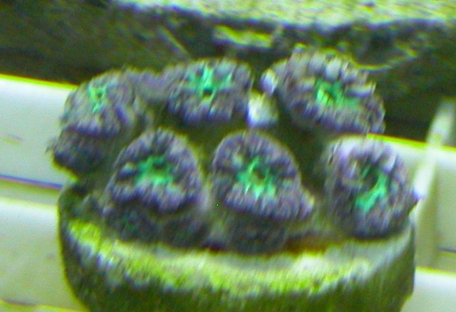 014-c-sm.jpg