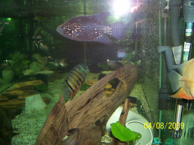 000_2571.jpg