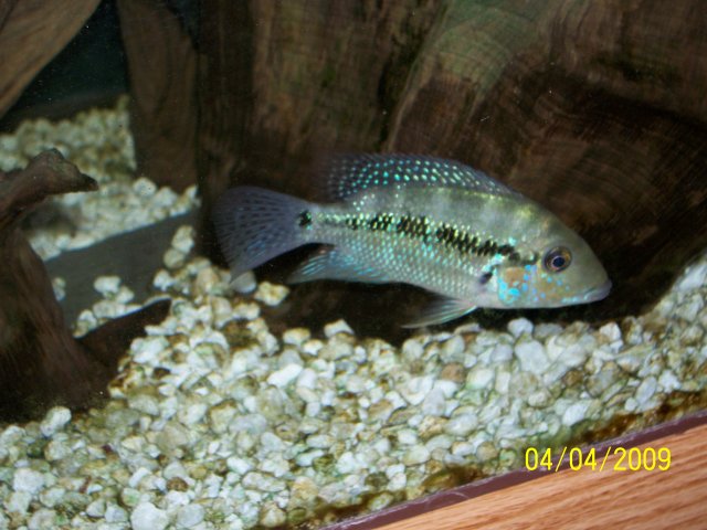 000_2482.jpg