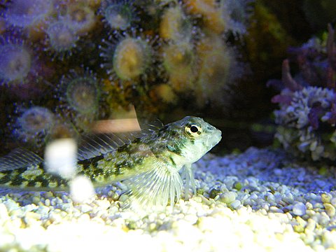 2009_041008729timelapse0020.JPG