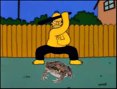 cane-toad.jpg