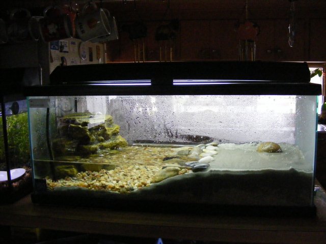 03-15-2009 004.jpg 03-15-2009 004.jpg