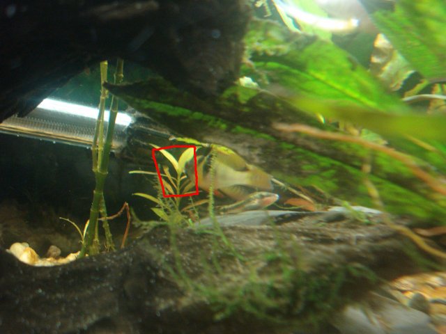 010.JPG