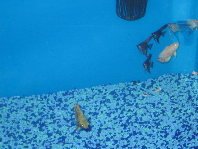 Picture 273.jpg