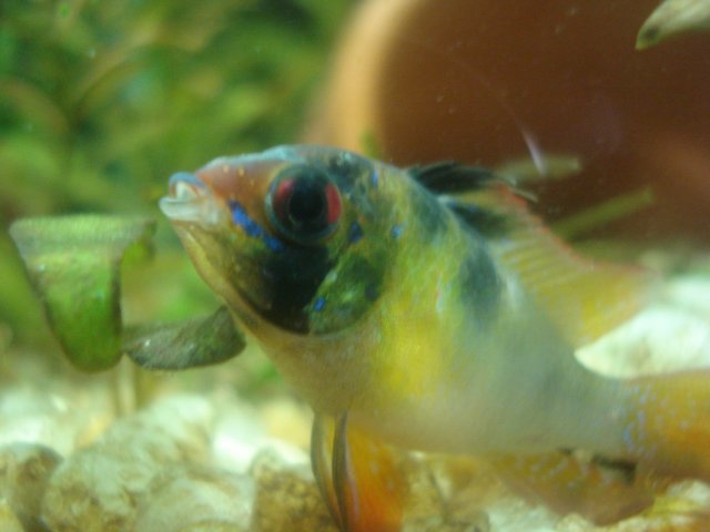 004.JPG