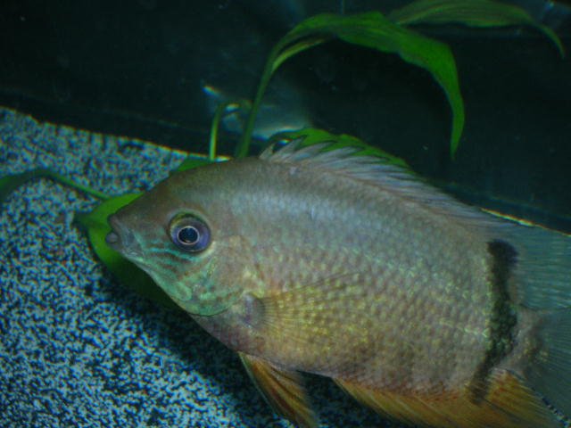 DSCN2969.JPG