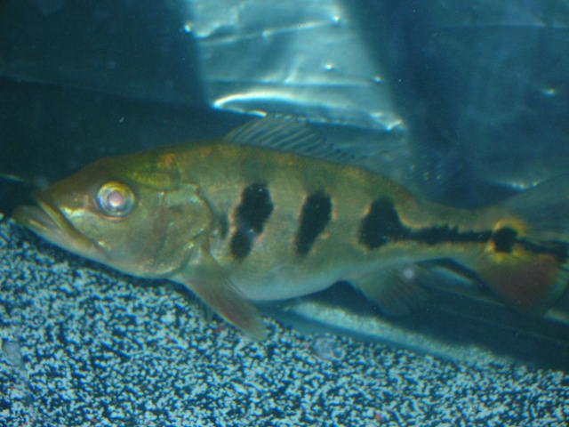 DSCN3020.JPG