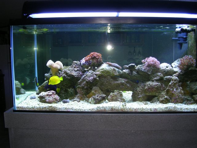 Picture 109.jpg