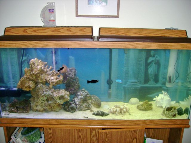 image002.jpg