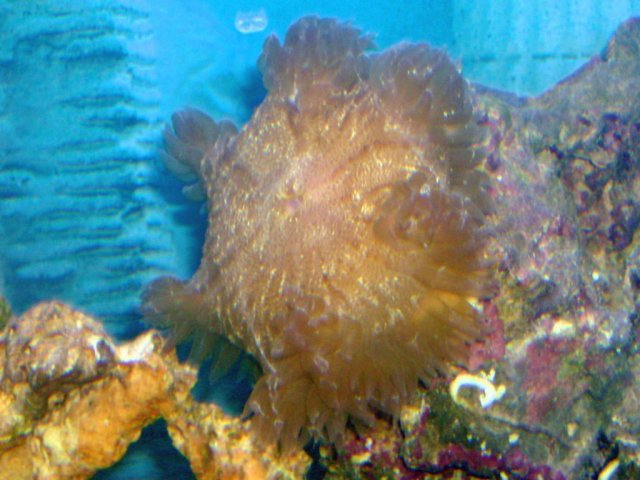 image005.jpg