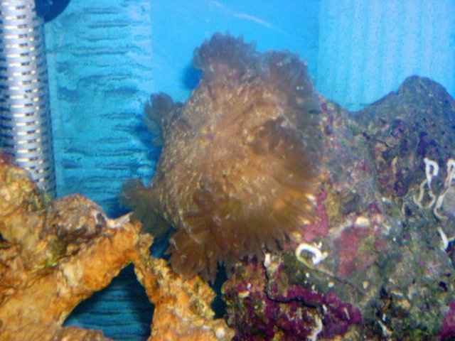 image007.jpg