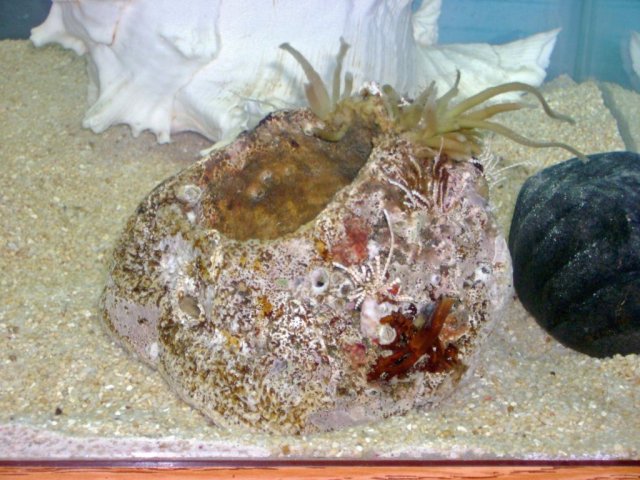 image008.jpg