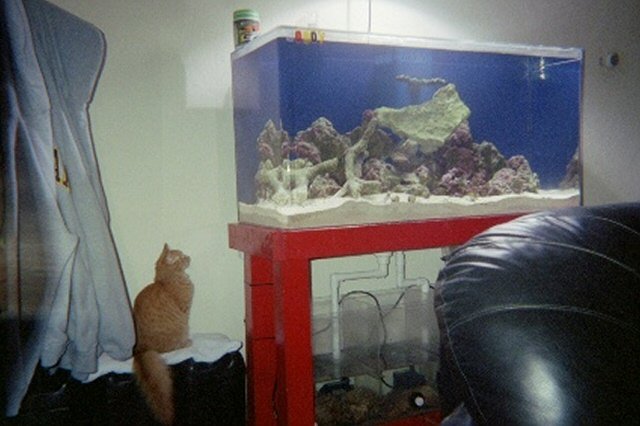 IMG005.JPG