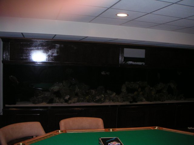 PICT0040.JPG