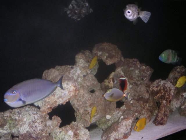 PICT0041.JPG