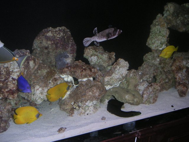 PICT0042.JPG