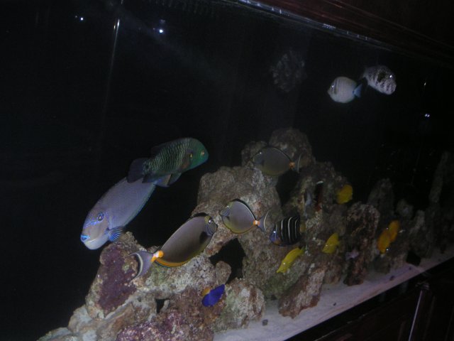 PICT0046.JPG