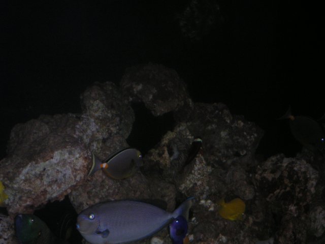 PICT0047.JPG