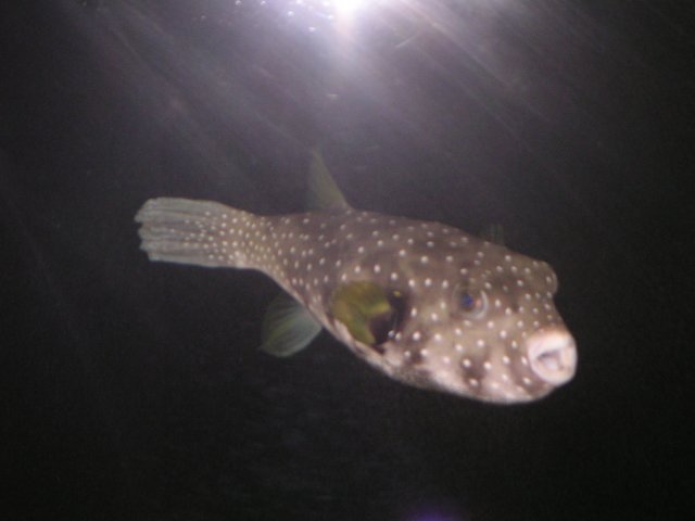 PICT0048.JPG