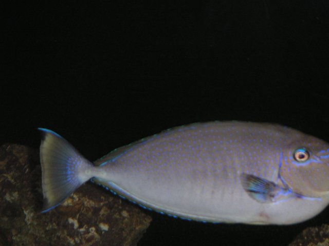 PICT0049.JPG