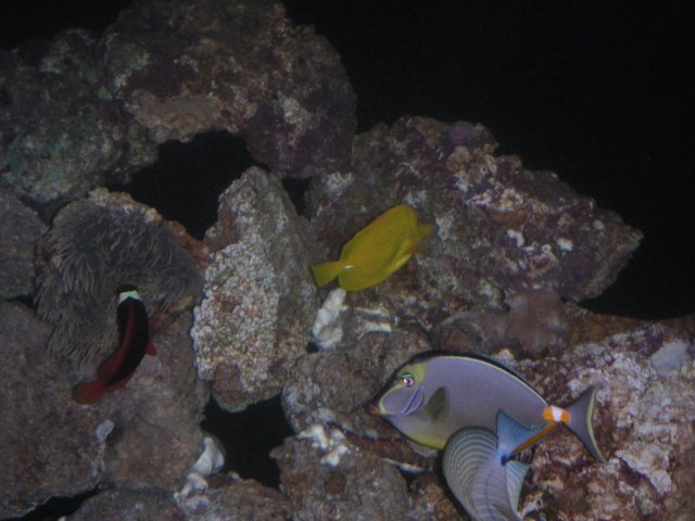 PICT0050.JPG