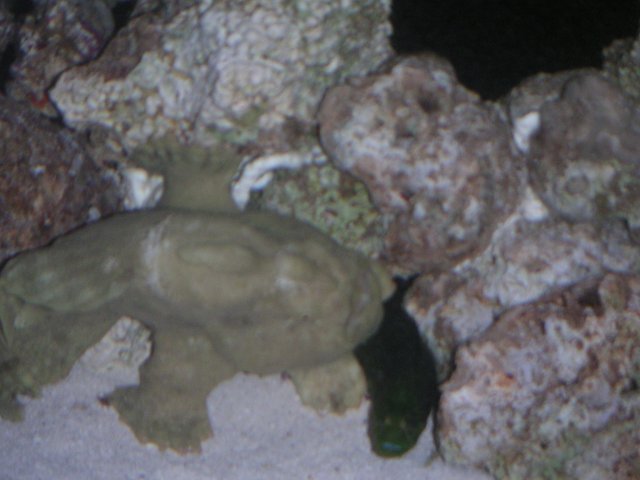PICT0056.JPG