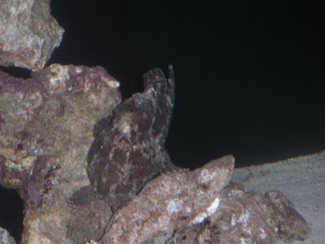 PICT0057.JPG