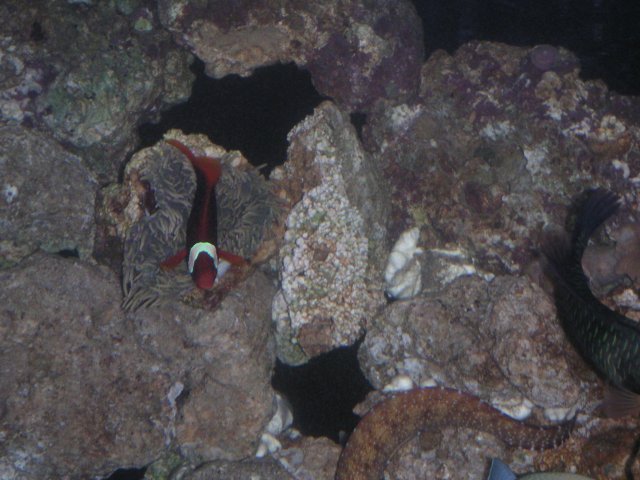 PICT0063.JPG