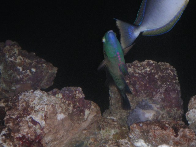 PICT0067.JPG