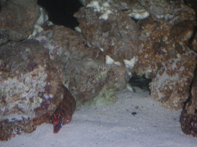 PICT0070.JPG