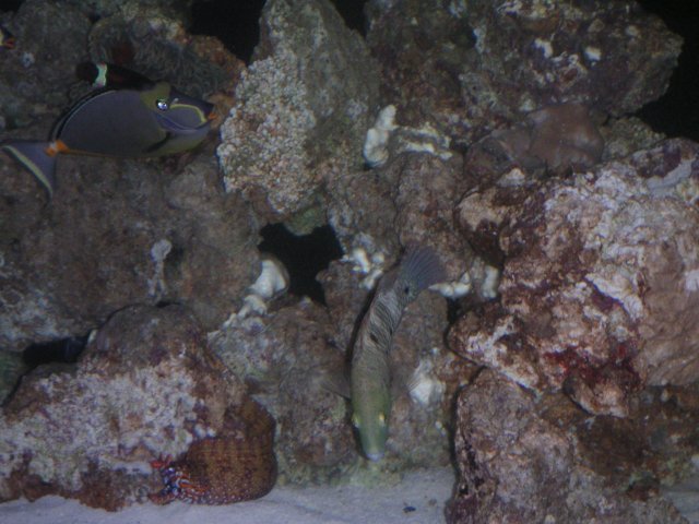 PICT0071.JPG