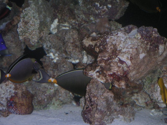 PICT0073.JPG