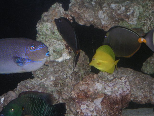 PICT0074.JPG